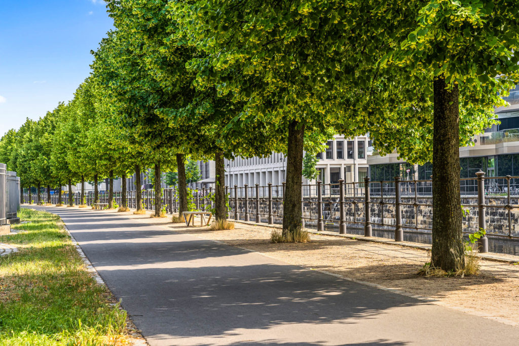 Immobilien Fotografie für den Verkauf von einem Townhouse. Immobilienfotograf Schweiz - Zürich. Innen- und Aussen Aufnahmen