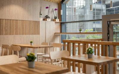Japan Plaza Bistro